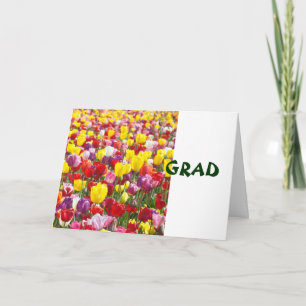 GRAD Grußkarten Herzlichen Glückwunsch Tulpen Blum Karte