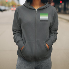 Gradient Aromantic Flag - farbenfroher, aromantisc Hoodie