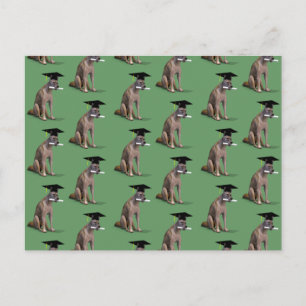 Graduate Coyote Ankündigungspostkarte
