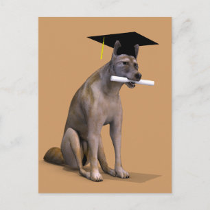Graduate Coyote Ankündigungspostkarte