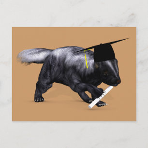 Graduate Skunk Postkarte