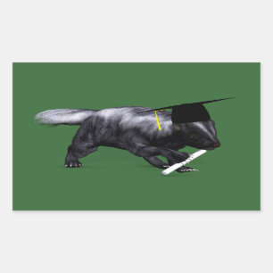 Graduate Skunk Rechteckiger Aufkleber