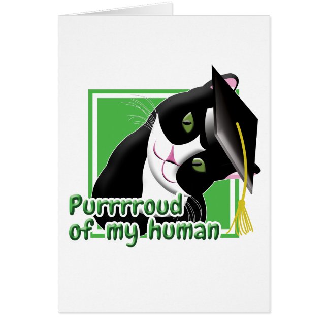 Graduation Cat (Vorne)