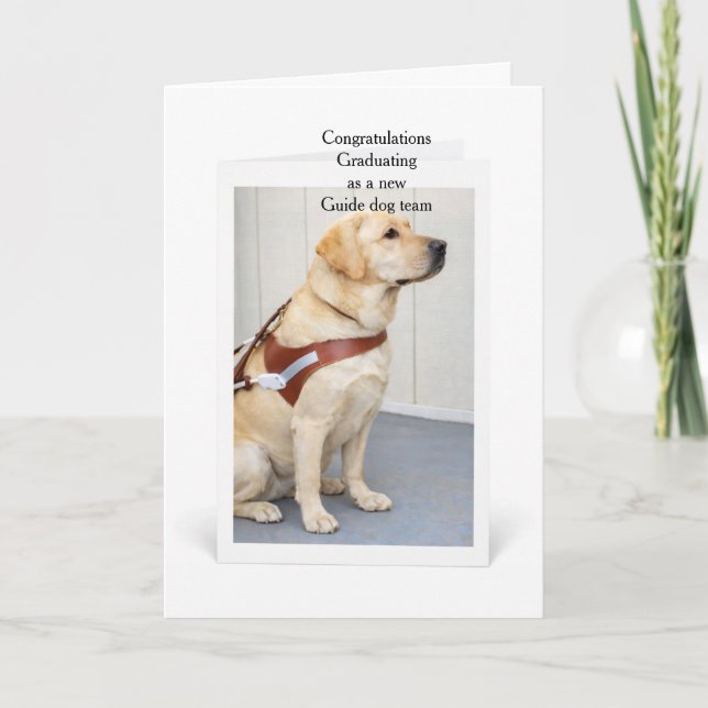 Graduation Yellow Labrador New Guide Dog Team Karte (Vorderseite)