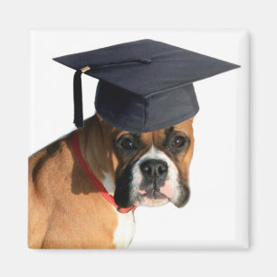 Graduierter Magnet des Boxers