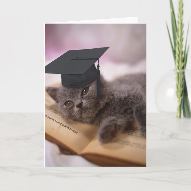 Graduierung, cat with hat karte (Vorderseite)