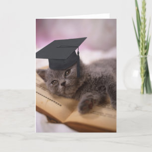 Graduierung, cat with hat karte