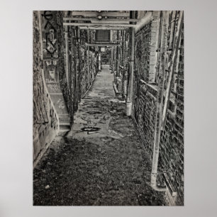 Graffiti Alley Poster
