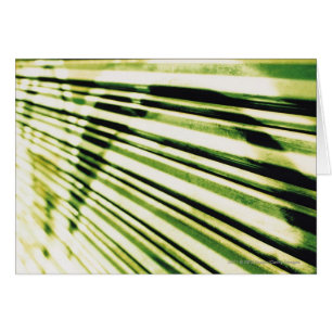 Graffiti sur un volet