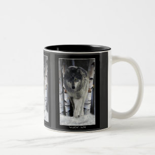 GRAFIK PACK WOLF Collection Zweifarbige Tasse