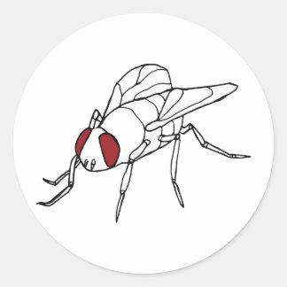 Grafik zur Darstellung von Fliegeninsekten Runder Aufkleber