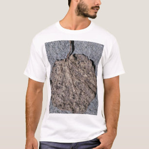 Grafisch/Strukturiert T-Shirt