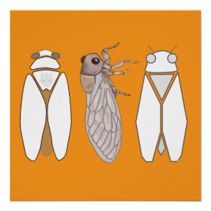 Grafische Zikade und Zikaden-Männchen. Poster