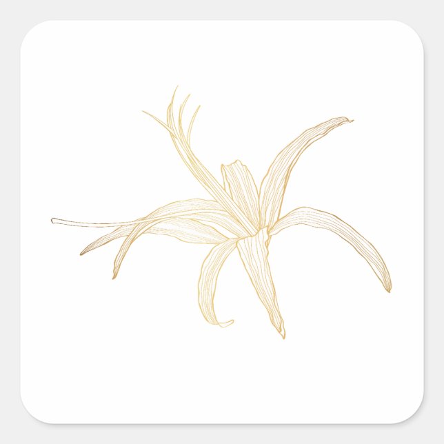 Grafisches goldenes Linienbild einer gerbera-Blume Quadratischer Aufkleber (Vorderseite)