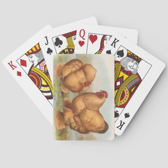 Graham - Buff Cochin Chickens Spielkarten (Rückseite)
