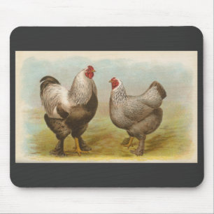 Graham - dunkle Brahma Hühner Mousepad