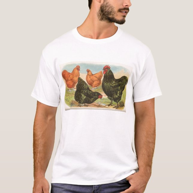 Graham - Orpington Chickens T-Shirt (Vorderseite)