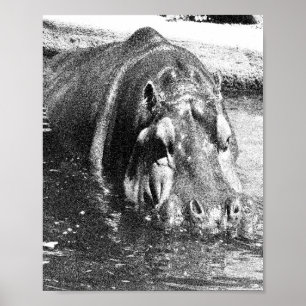 Grainy Black White Hippo Art, affiche