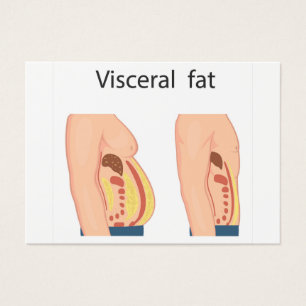 Graisse viscérale