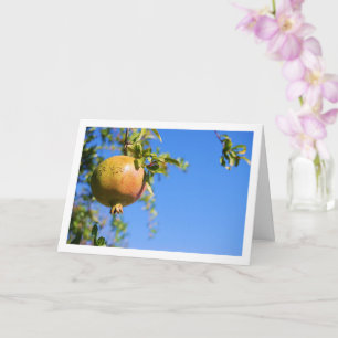 Granatapfel am Baum, Blau Himmel Portrait Karte
