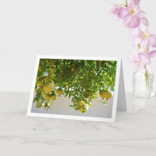 Granatäpfel hängen am Baum Karte