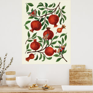 Granatäpfel und Bella Moths auf weißem Boden Poster