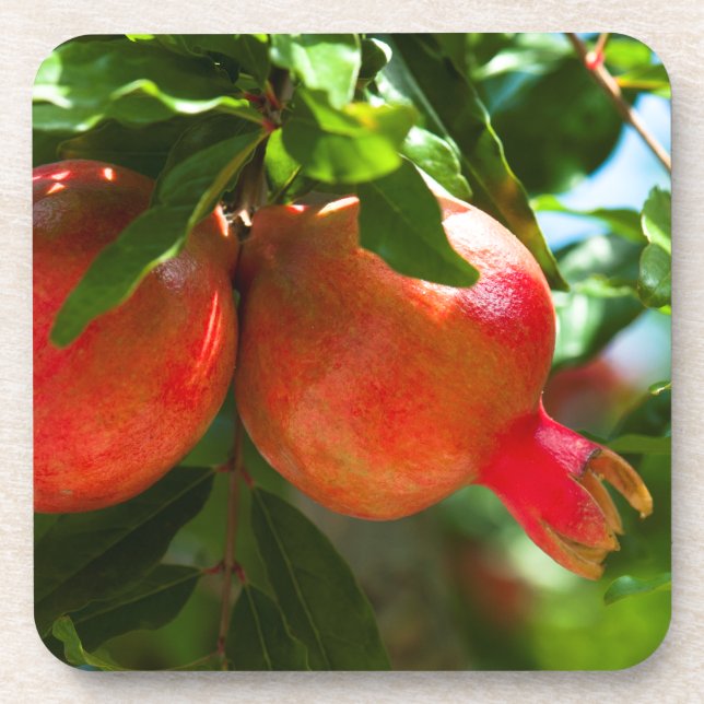 Granatapfel Untersetzer (Vorderseite)