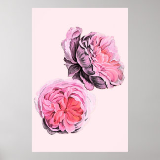 Grand Affiche d'Art Vintage Fleurs Roses