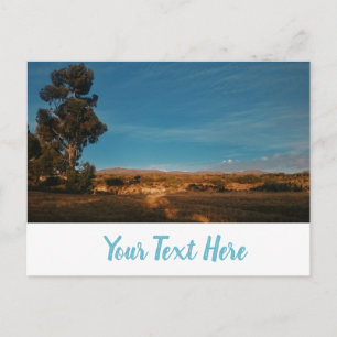 Grand arbre d'eucalyptus Belle carte postale de pa