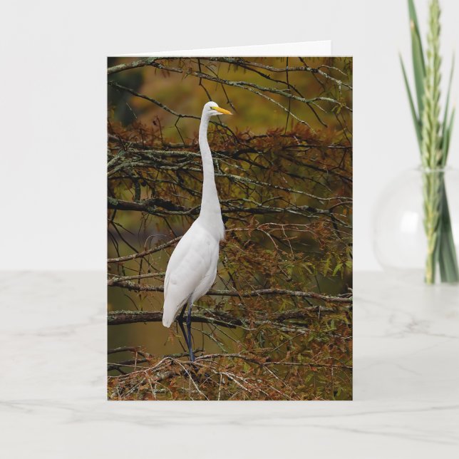 Grand blanc Egret Fall Leaves Carte de voeux (Devant)