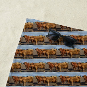 Grand Brown Highland Vaches, Serviette de plage