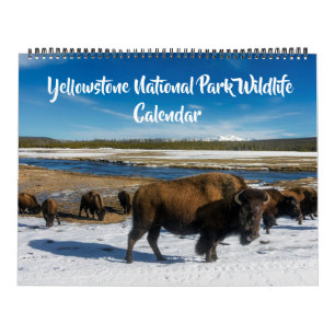 Grand calendrier de Yellowstone - Calendrier fauni