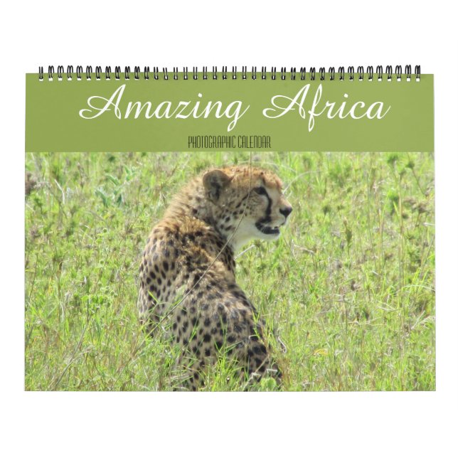 grand calendrier des animaux africains 2025 (Protection)
