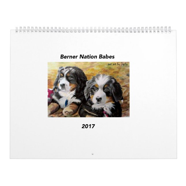 Grand calendrier des bébés 2017 de nation de (Protection)