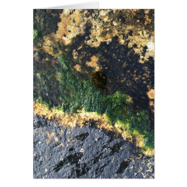 grand canal (Devant)