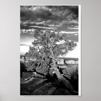 Grand Canyon 03 Poster