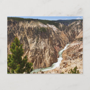 Grand Canyon des Yellowstone Postkarte