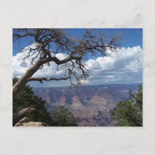 Grand Canyon Die gemalte Wüste Arizona PostCard Postkarte