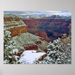Grand Canyon im Winter Poster