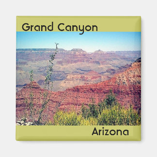 Grand Canyon Magnet 2001