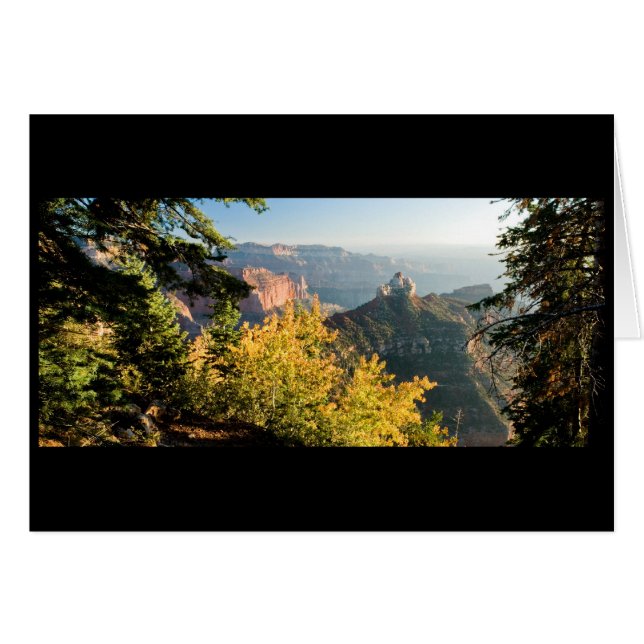 Grand Canyon mit goldener Birke (Vorderseite (Horizontal))