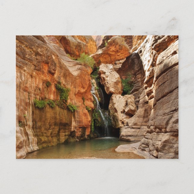 Grand Canyon National Park, Arizona Postkarte (Vorderseite)