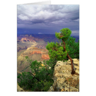 Grand Canyon National Park, Arizona, Vereinigte St