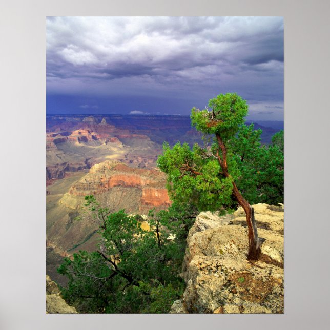 Grand Canyon National Park, Arizona, Vereinigte St Poster (Vorne)