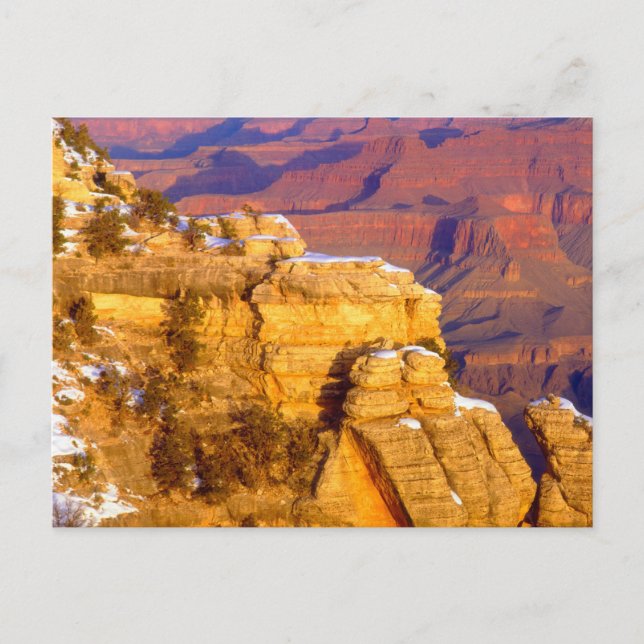 Grand Canyon Nationalpark im Winter Postkarte (Vorderseite)