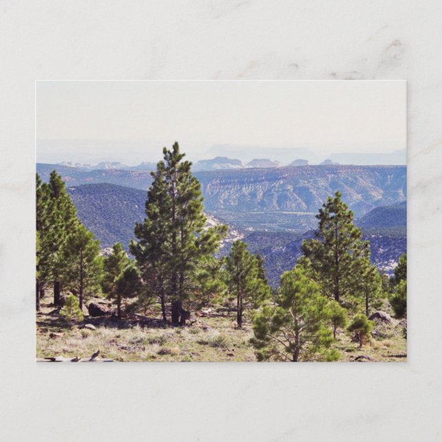 Grand Canyon North Ridge Post Card Postkarte (Vorderseite)