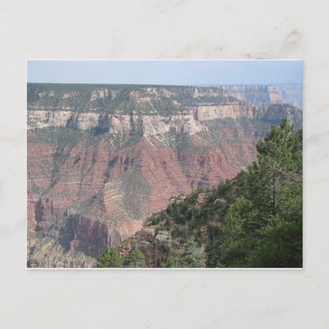 Grand Canyon North Rim Postkarte (Vorderseite)