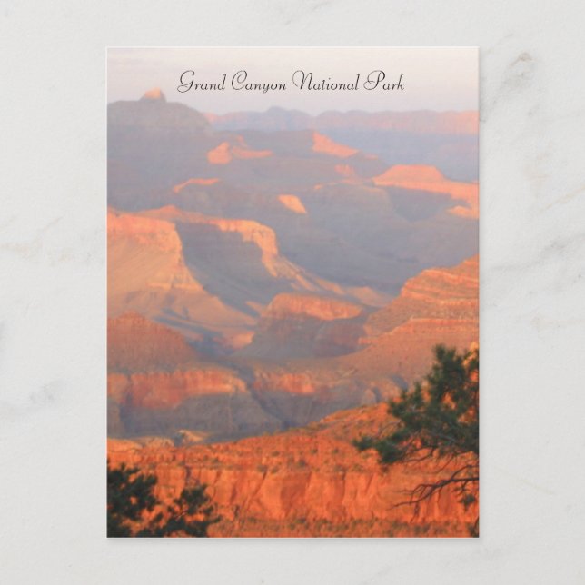 Grand Canyon np Postkarte (Vorderseite)