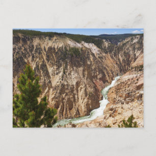 Grand Canyon of the Yellowstone Postkarte