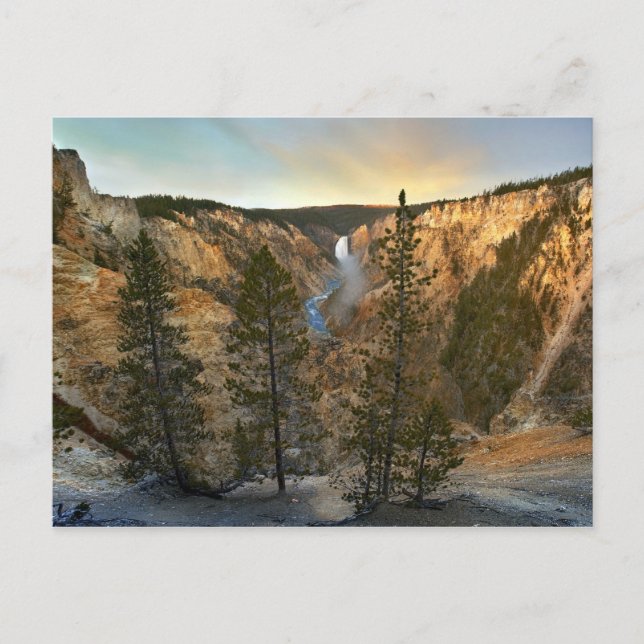 Grand Canyon of Yellowstone, Yellowstone Postkarte (Vorderseite)